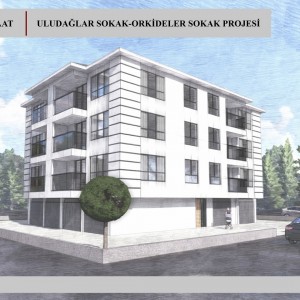 Orkideler-Uludağlar Sokak Projemiz